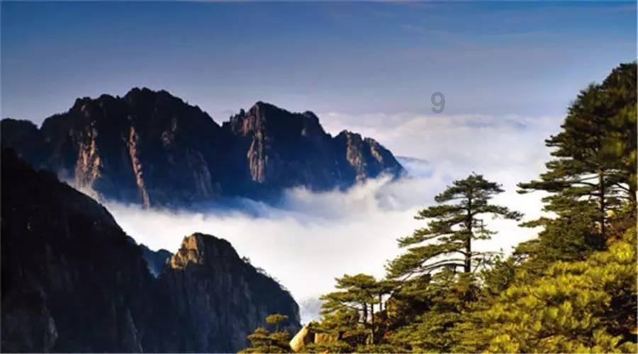 华联控股(000036.SZ)：已累计回购1.38%股份