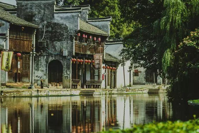 动物帮帮忙保卫家园
